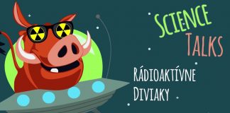 Prečo sú diviaky rádioaktívne?