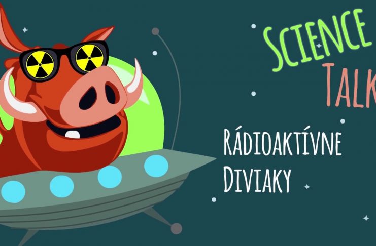 Prečo sú diviaky rádioaktívne?