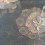 Robot možno našial roztavené palivo v 3. bloku Fukušimy