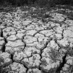 Zmena klímy už ovplyvňuje USA