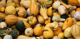 Je draslík rádioaktívny prvok?