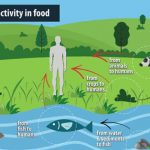 IAEA vypracuje usmernenia o prírodnej rádioaktivite v potravinách