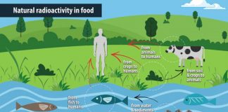 IAEA vypracuje usmernenia o prírodnej rádioaktivite v potravinách