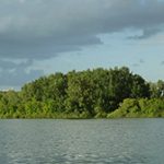 Energetici prezentujú svoje očakávania, želania a výzvy pre rok 2018