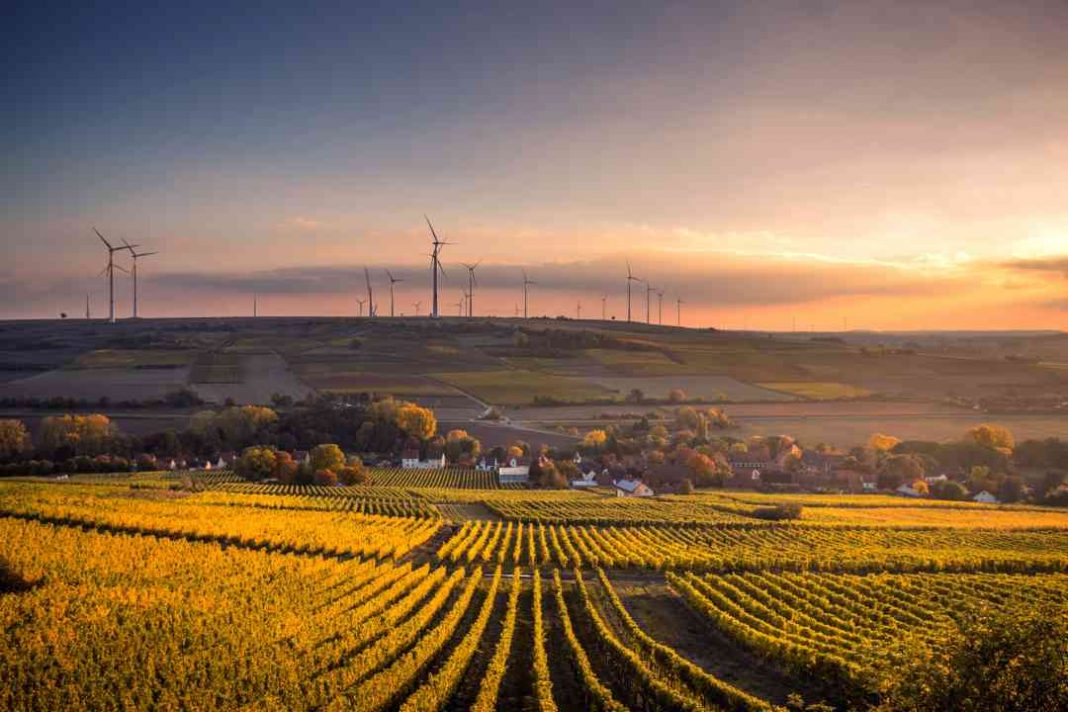 obnoviteľné zdroje, slnečná energia, jadrová energia, veterná energia, zmena klímy