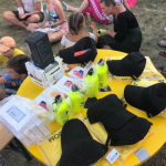 Pohodový bulletin Pohoda 2018, SNUS Pohoda 2018