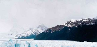 U.N. on Climate Change: Nuclear power will play key role Svetová banka zdvojnásobuje financovanie zmien klímy