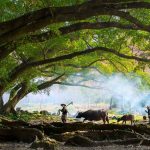 Zoznam “zlých firiem” z Číny môže poškodiť samotné americké firmy