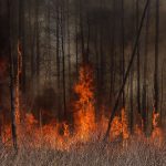 MAAE: Nedávny požiar v Černobyle bol radiačne neškodný