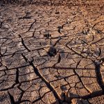 Jadro pomáha krajinám bojovať proti problémom so slanou pôdou Príliš slaná pôda začala trápiť veľké množstvo krajín.