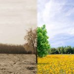 Ako si Greenpeace Energy pokrytecky zarába poškodzovaním ovzdušia