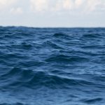 Prečo chce Japonsko vypustiť upravenú vodu do oceána a čo to pre nás znamená? Tichý oceán